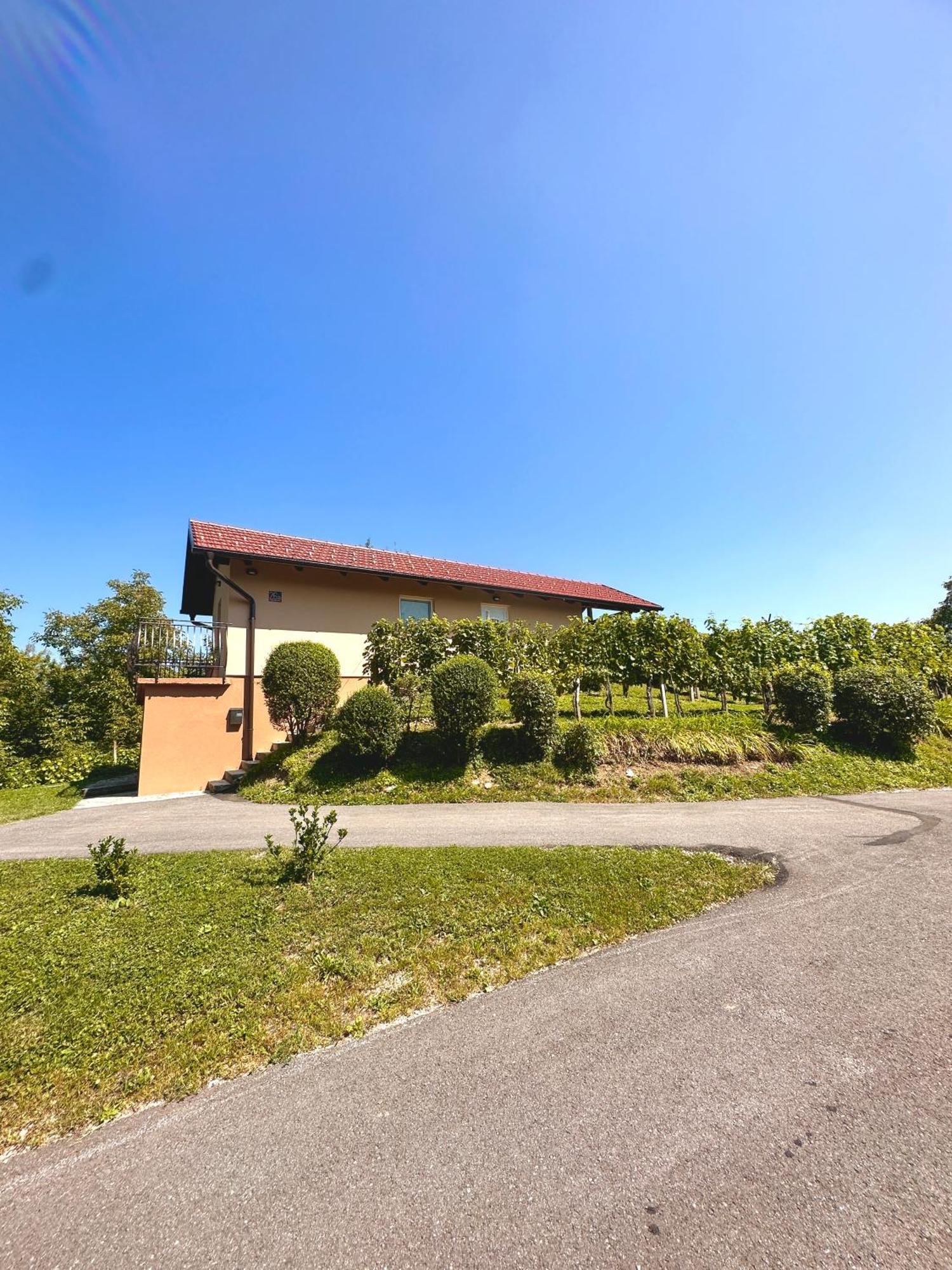 House Tomajna Holiday home